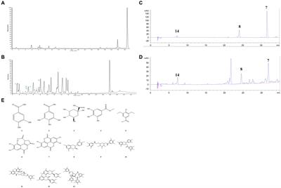 Tannin extracted from Penthorum chinense Pursh, a potential drug with antimicrobial and antibiofilm effects against methicillin-sensitive Staphylococcus aureus and methicillin-resistant Staphylococcus aureus